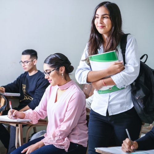 What Is an Executive MBA (EMBA)?